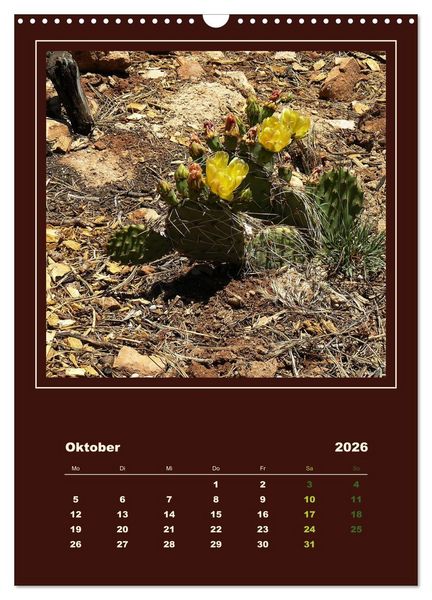 Produktbild: Wilde Kakteen Amerikas (Wandkalender 2026 DIN A3 hoch), CALVENDO Monatskalender