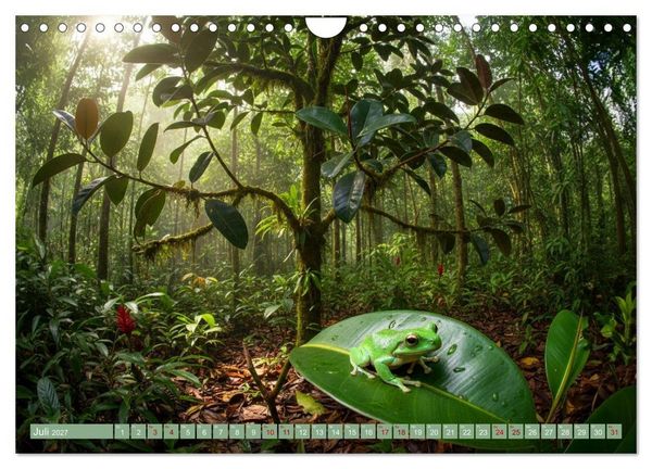Produktbild: Zimmerpflanzen auf Heimaturlaub (Wandkalender 2027 DIN A4 quer), CALVENDO Monatskalender