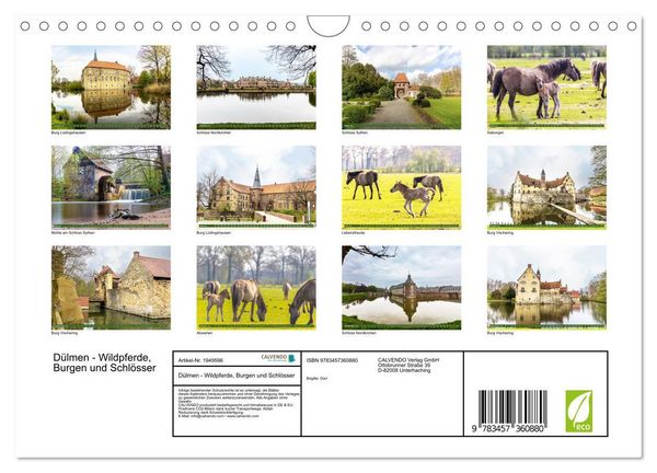 Produktbild: D&uuml;lmen - Wildpferde, Burgen und Schl&ouml;sser (Wandkalender 2026 DIN A4 quer), CALVENDO Monatskalender