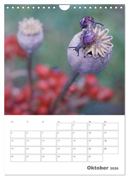 Produktbild: Helden in der Natur (Wandkalender 2026 DIN A4 hoch), CALVENDO Monatskalender
