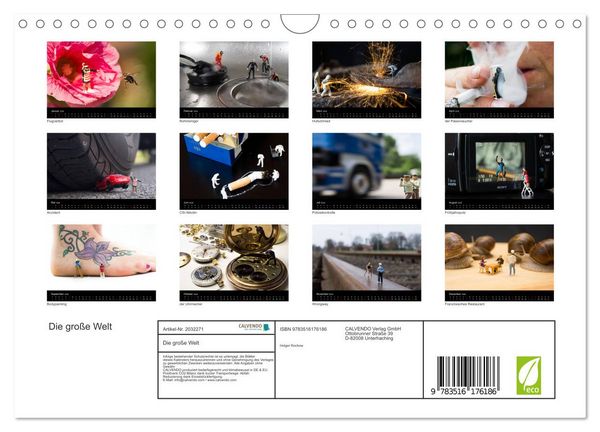 Produktbild: Die gro&szlig;e Welt (Wandkalender 2026 DIN A4 quer), CALVENDO Monatskalender