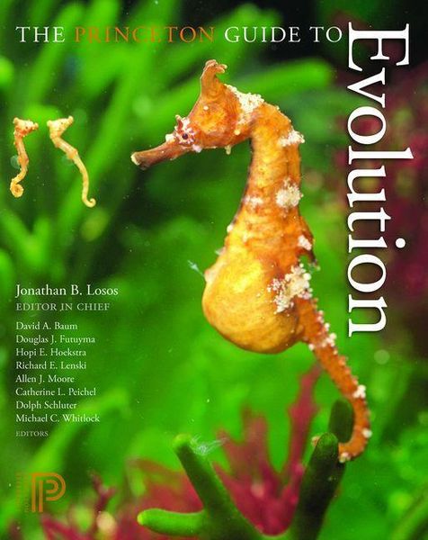 Produktbild: Princeton Guide to Evolution