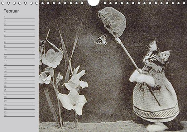 Produktbild: Katzen und Hunde - Nostalgie auf Pfoten (Wandkalender immerw&auml;hrend DIN A4 quer)