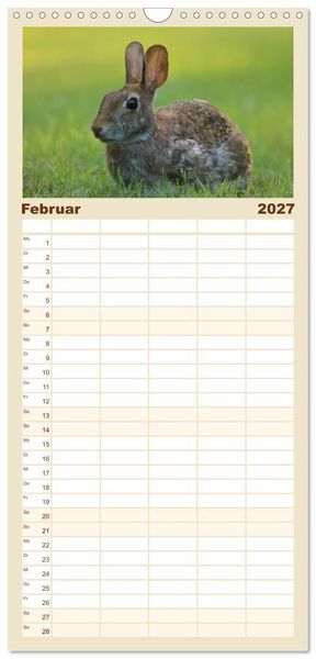 Produktbild: Familienplaner 2027 - Hasen - Die niedlichen Hoppeltiere. mit 5 Spalten (Wandkalender, 21 x 45 cm) CALVENDO