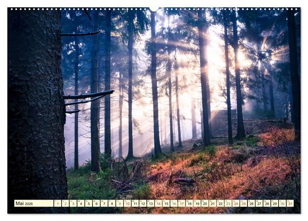 Produktbild: Mystische W&auml;lder - Zauber der Natur (hochwertiger Premium Wandkalender 2026 DIN A2 quer), Kunstdruck in Hochglanz