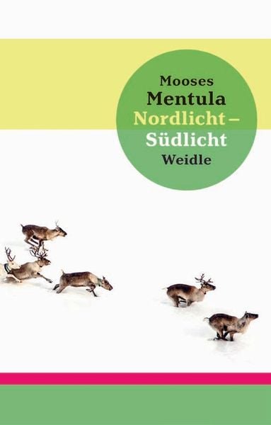 Produktbild: Nordlicht &ndash; S&uuml;dlicht