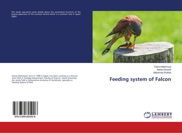 Produktbild: Feeding system of Falcon
