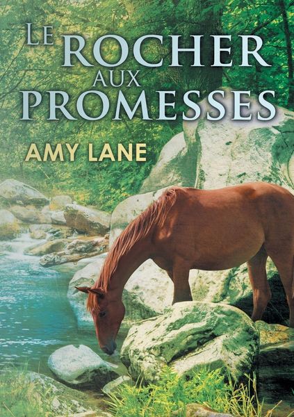 Produktbild: Le Rocher Aux Promesses