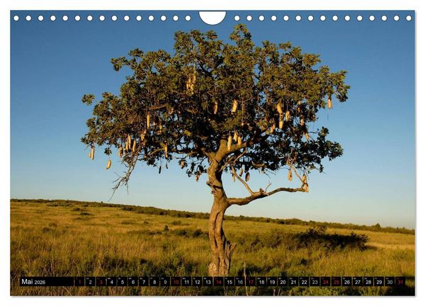 Produktbild: Kenia einmal anders (Wandkalender 2026 DIN A4 quer), CALVENDO Monatskalender