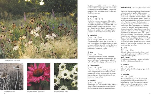 Produktbild: G&auml;rten inspiriert von der Natur