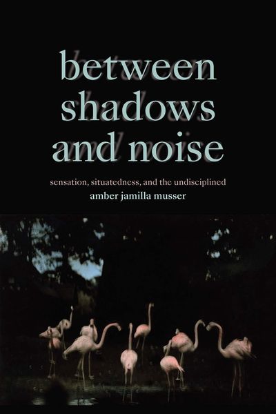 Produktbild: Between Shadows and Noise