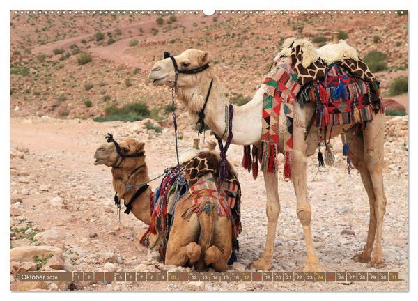 Produktbild: Jordanien - Ein Land der Superlative (Wandkalender 2026 DIN A2 quer), CALVENDO Monatskalender