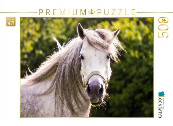 CALVENDO Puzzle Welshpony Lulu | 500 Teile Lege-Größe 48 × 36 cm Foto-Puzzle für Erwachsene