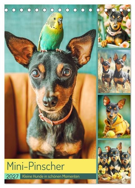 Produktbild: Mini-Pinscher. Kleine Hunde in sch&ouml;nen Momenten (Tischkalender 2027 DIN A5 hoch), CALVENDO Monatskalender