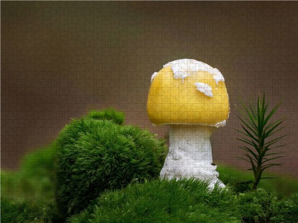 Produktbild: CALVENDO Puzzle Narzissengelber Wulstling 1000 Teile Lege-Gr&ouml;&szlig;e 64 x 48 cm Foto-Puzzle Bild von Beate Wurster