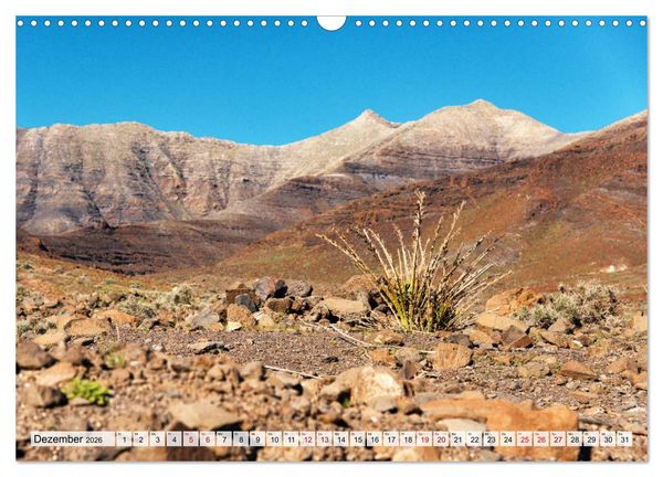 Produktbild: Fuerteventura Sand und bunte Farben (Wandkalender 2026 DIN A3 quer), CALVENDO Monatskalender