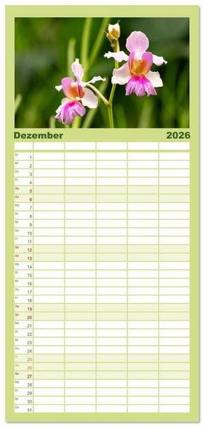 Produktbild: Familienplaner 2026 - Orchidaceae - Orchideen mit 5 Spalten (Wandkalender, 21 x 45 cm) CALVENDO