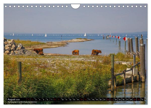 Produktbild: Das Rheintal 2026 (Wandkalender 2026 DIN A4 quer), CALVENDO Monatskalender