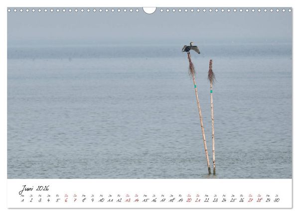 Produktbild: Naturpark Wattenmeer und Helgoland (Wandkalender 2026 DIN A3 quer), CALVENDO Monatskalender