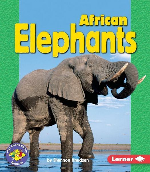Produktbild: African Elephants