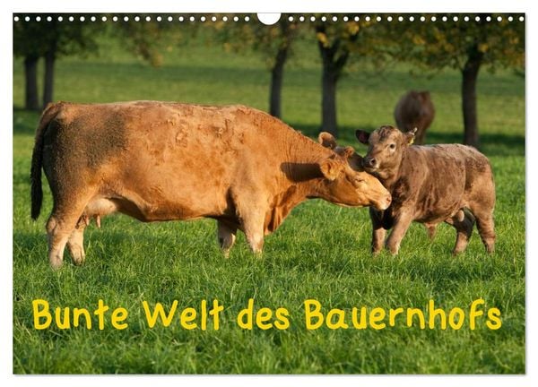 Produktbild: Bunte Welt des Bauernhofs (Wandkalender 2026 DIN A3 quer), CALVENDO Monatskalender