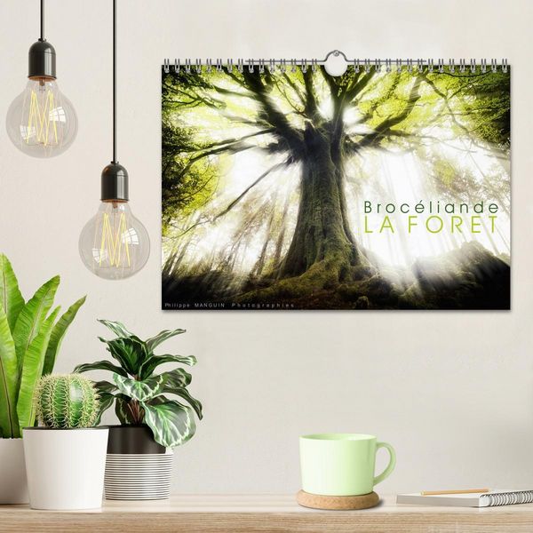 Produktbild: BROCELIANDE, la for&ecirc;t (Calendrier mural 2026 DIN A4 vertical), CALVENDO calendrier mensuel
