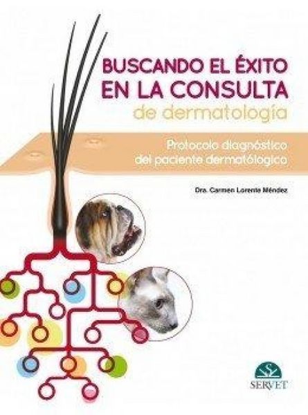 Produktbild: Buscando El &Eacute;xito En La Consulta de Dermatolog&iacute;a