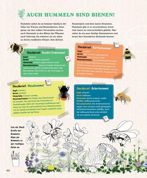 Produktbild: Bienen