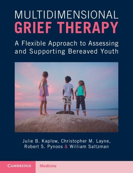 Produktbild: Multidimensional Grief Therapy