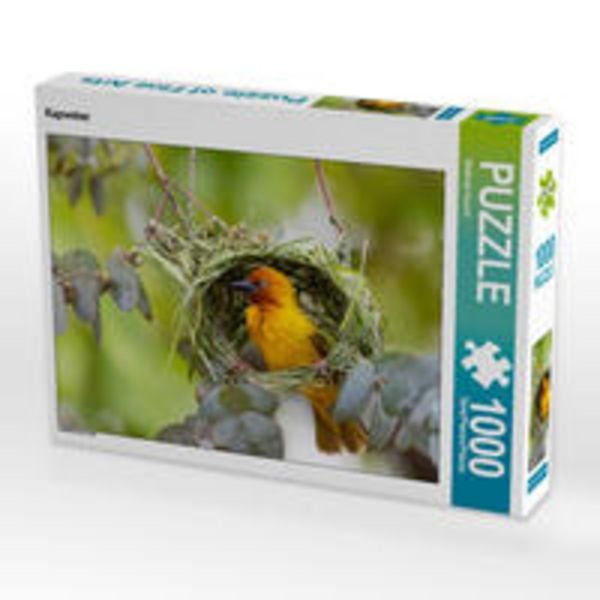 CALVENDO Puzzle Kapweber | 1000 Teile Lege-Größe 64x48cm Foto-Puzzle für glückliche Stunden