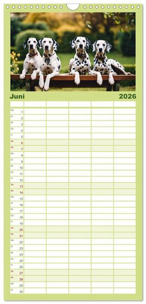 Produktbild: Familienplaner 2026 - Dalmatiner - freundliche Temperamentsbolzen mit 5 Spalten (Wandkalender, 21 x 45 cm) CALVENDO