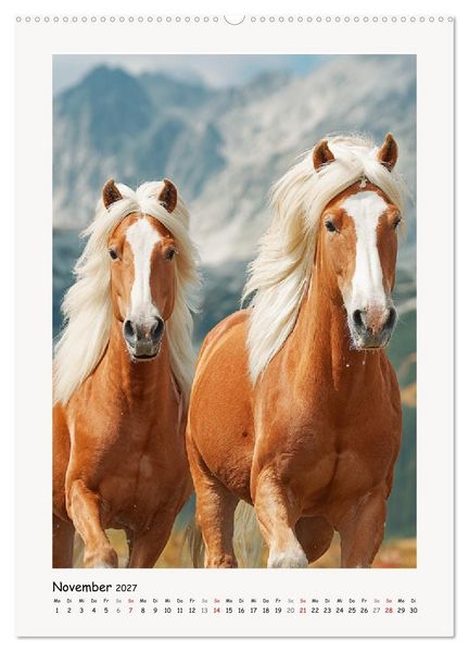 Produktbild: Berge und M&auml;hnen. Haflinger zwischen Alm, Sonne und Freiheit (hochwertiger Premium Wandkalender 2027 DIN A2 hoch), Kunstdruck in Hochglanz