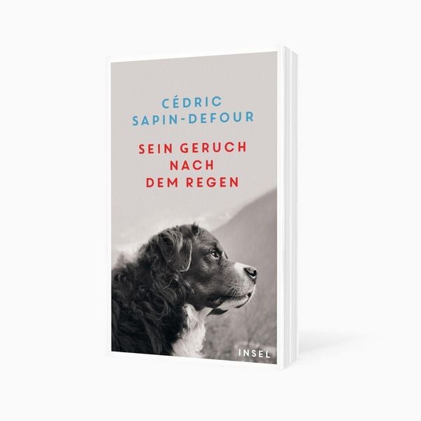 Produktbild: Sein Geruch nach dem Regen