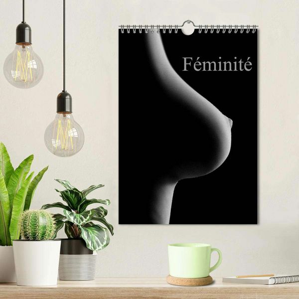 Produktbild: F&eacute;minit&eacute; (Calendrier mural 2026 DIN A4 horizontal), CALVENDO calendrier mensuel