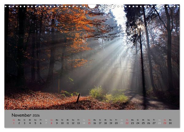 Produktbild: L&uuml;neburger Heide - sch&ouml;n zu jeder Jahreszeit (Wandkalender 2026 DIN A3 quer), CALVENDO Monatskalender
