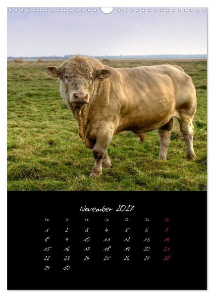 Produktbild: Tiere (Wandkalender 2027 DIN A3 hoch), CALVENDO Monatskalender