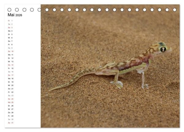 Produktbild: Namibia - Tierische Vielfalt (Planer) (Tischkalender 2026 DIN A5 quer), CALVENDO Monatskalender