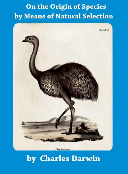 Produktbild: The Origin of Species