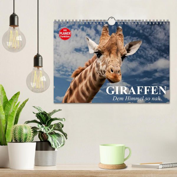 Produktbild: Giraffen. Dem Himmel so nah (Wandkalender 2026 DIN A4 quer), CALVENDO Monatskalender