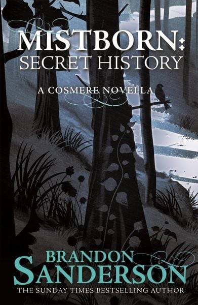 Produktbild: Mistborn: Secret History