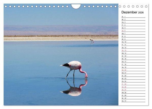 Produktbild: Mein Flamingo Planer (Wandkalender 2026 DIN A4 quer), CALVENDO Monatskalender