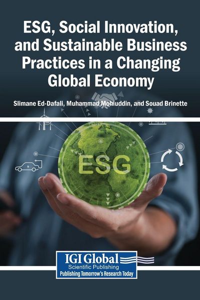 Produktbild: ESG, Social Innovation, and Sustainable Business Practices in a Changing Global Economy