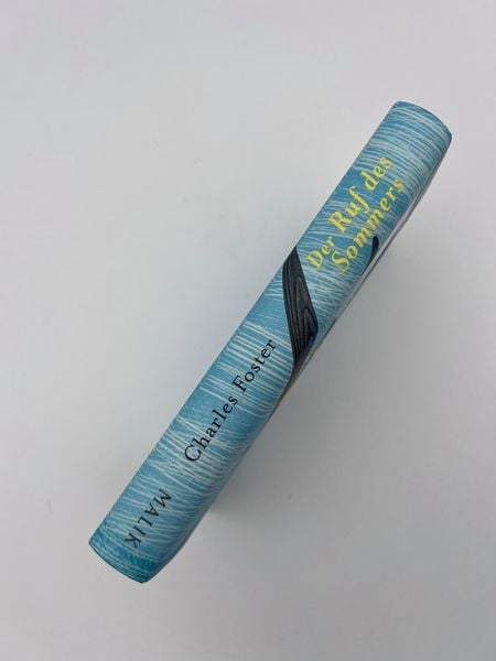 Produktbild: Der Ruf des Sommers