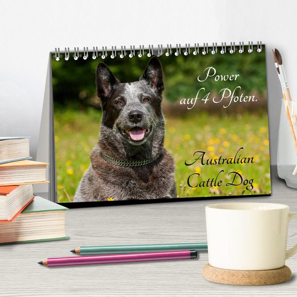 Produktbild: Power auf 4 Pfoten. Australian Cattle Dog (Tischkalender 2026 DIN A5 quer), CALVENDO Monatskalender