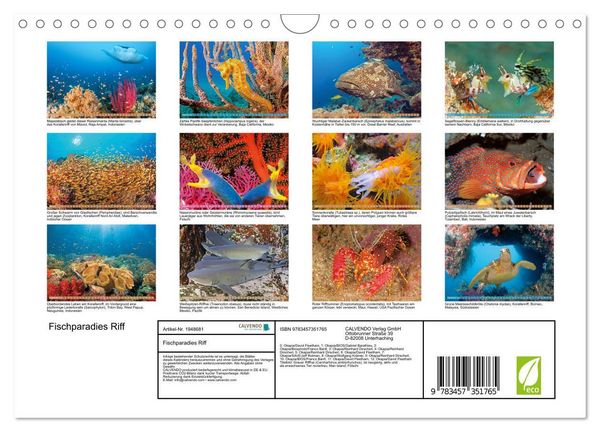 Produktbild: Fischparadies Riff (Wandkalender 2026 DIN A4 quer), CALVENDO Monatskalender