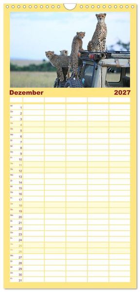 Produktbild: Familienplaner 2027 - Geparden - Begegnungen in Afrika mit 5 Spalten (Wandkalender, 21 x 45 cm) CALVENDO