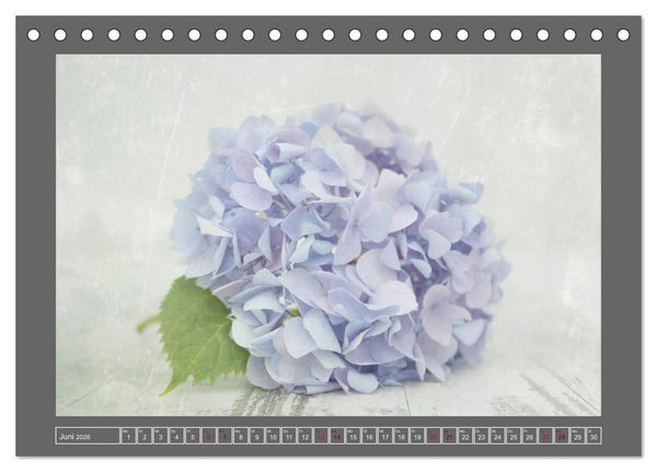Produktbild: Blumen f&uuml;r dich (Tischkalender 2026 DIN A5 quer), CALVENDO Monatskalender