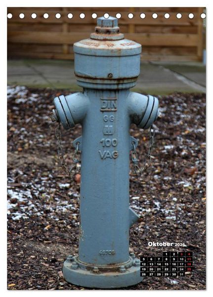 Produktbild: Nostalgie Hydranten (Tischkalender 2026 DIN A5 hoch), CALVENDO Monatskalender