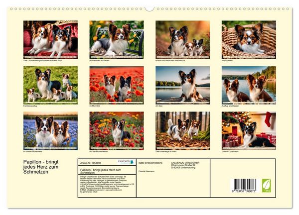 Produktbild: Papillon - bringt jedes Herz zum Schmelzen (hochwertiger Premium Wandkalender 2026 DIN A2 quer), Kunstdruck in Hochglanz