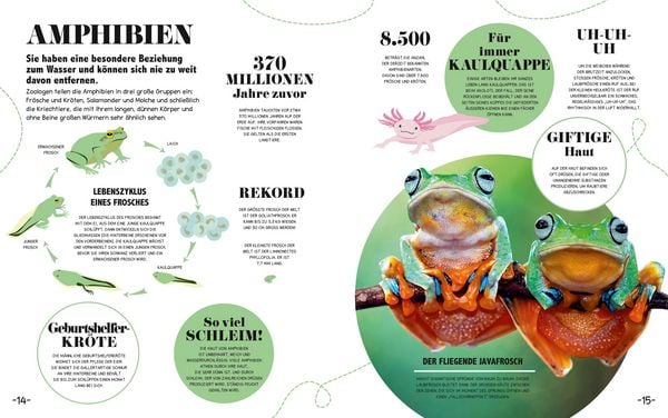 Produktbild: 5-Minuten-Lernen Natur